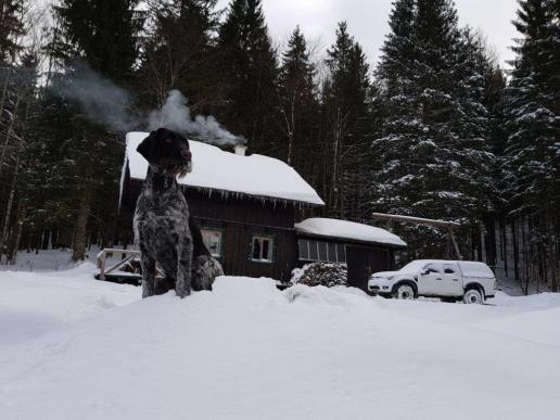 Kora im ersten Schnee